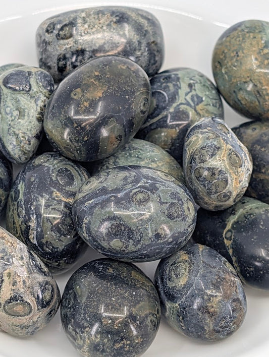 Close-up of Kambaba Jasper tumbled stones showing orbicular patterns