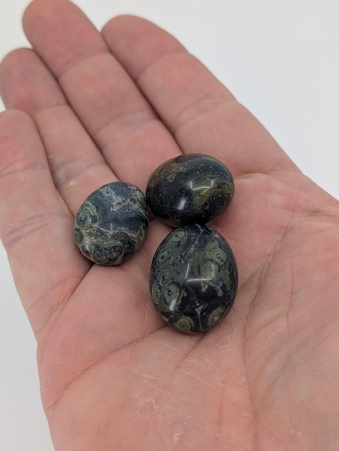 Kambaba Jasper tumbled stones in hand for size reference