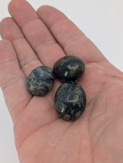Kambaba Jasper tumbled stones in hand for size reference