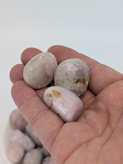 Kunzite tumbled stones shown in hand for scale