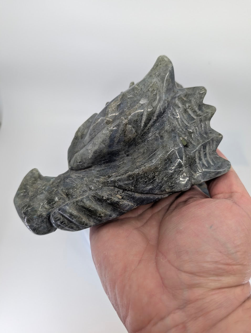 Angled view of Variant A highlighting gold-blue shimmer and crest carving