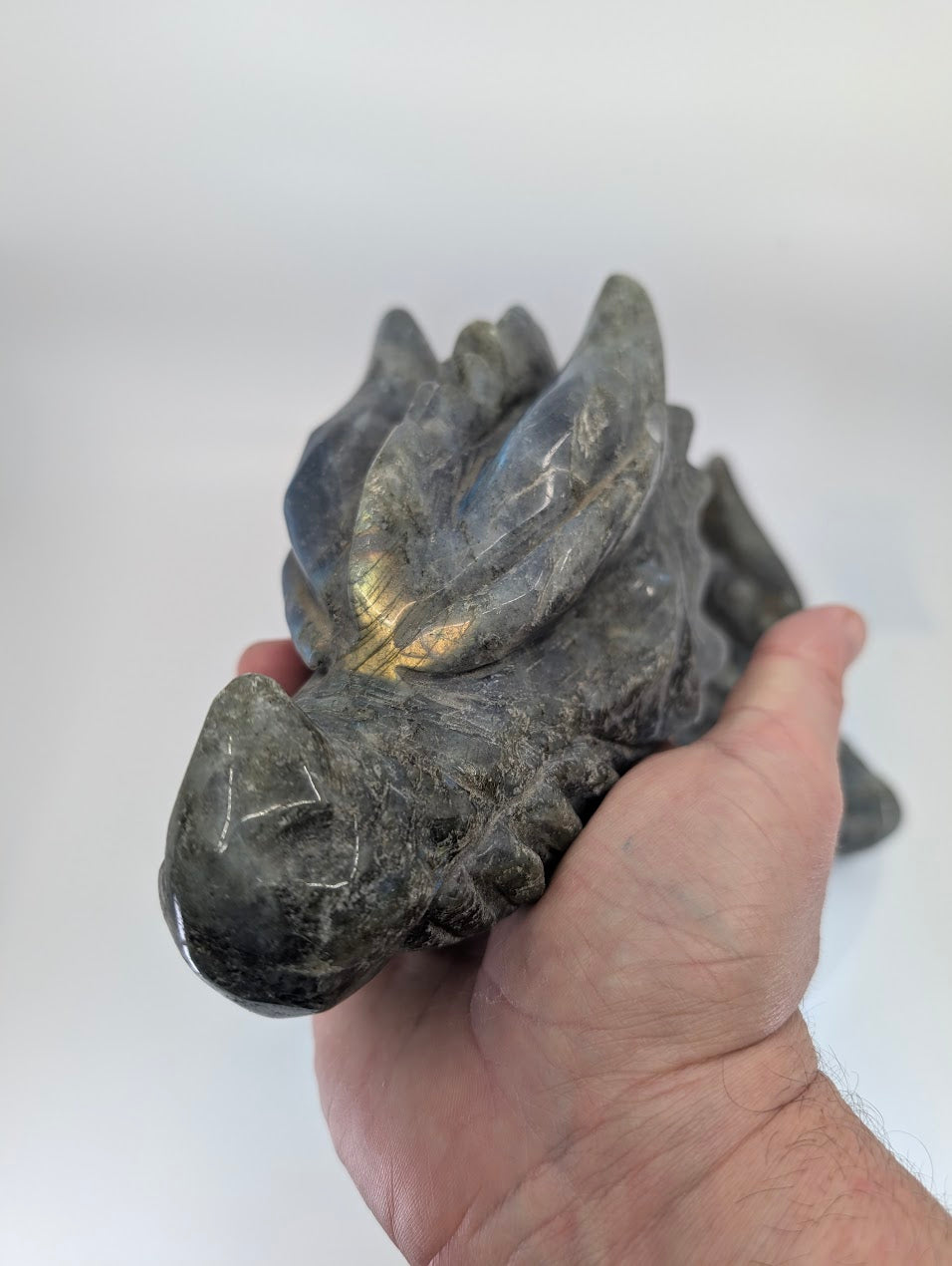 Handheld view of Labradorite Dragon Head Variant A showing flash and carved details