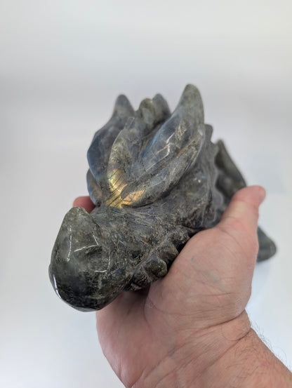Handheld view of Labradorite Dragon Head Variant A showing flash and carved details