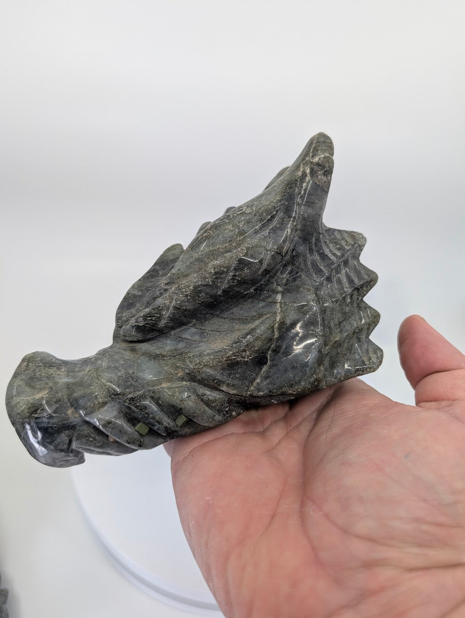 Angled view of Variant B with subtle labradorescence and horn detail