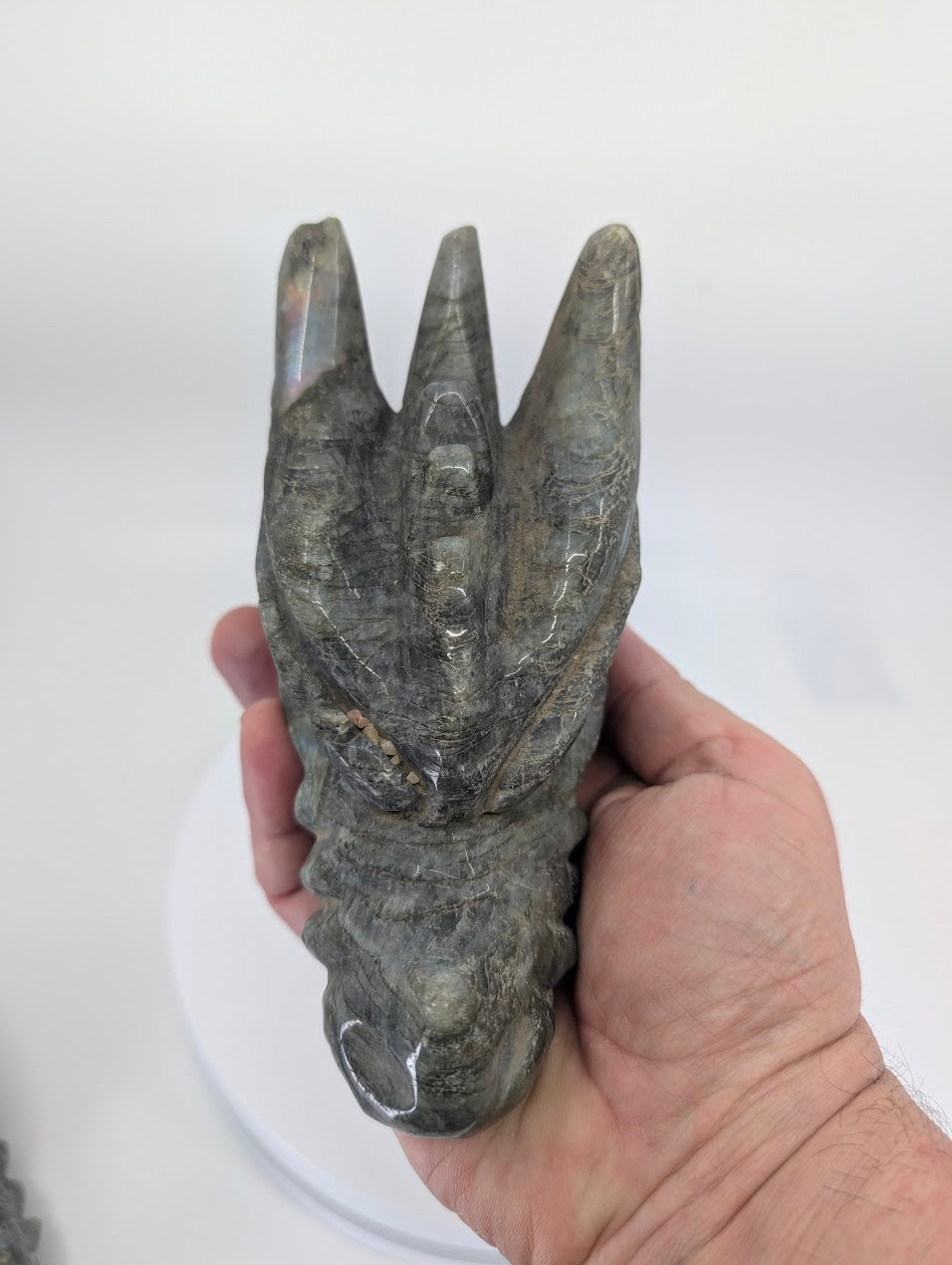 Handheld view of Labradorite Dragon Head Variant B showing carved crest and texture