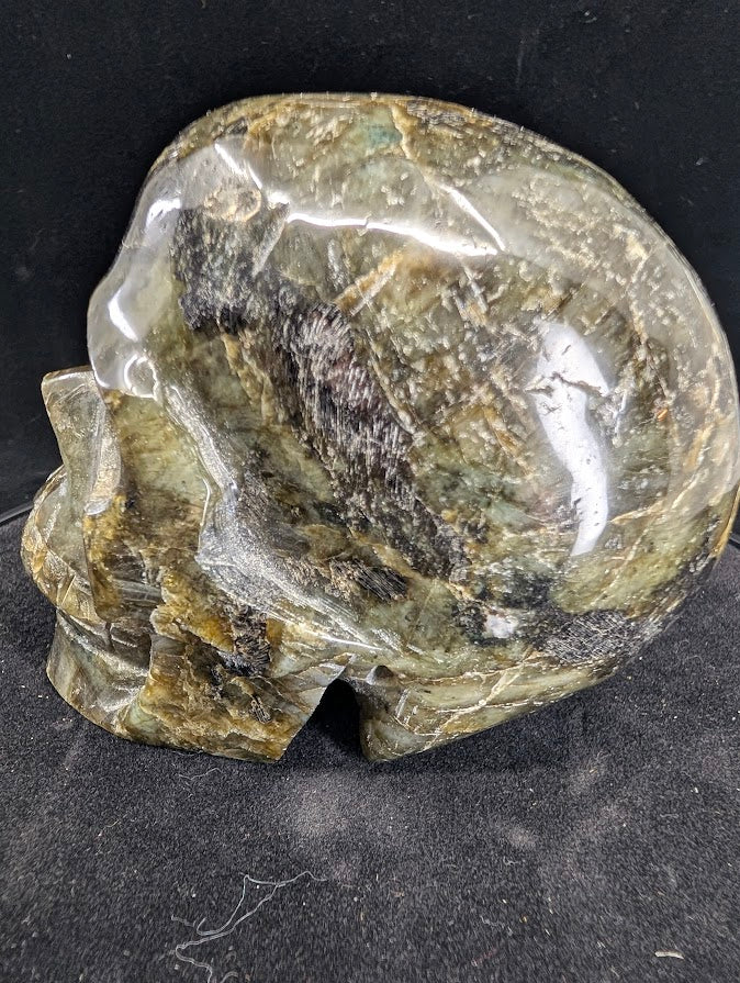 Left profile of Labradorite skull showing earthy matrix and polish