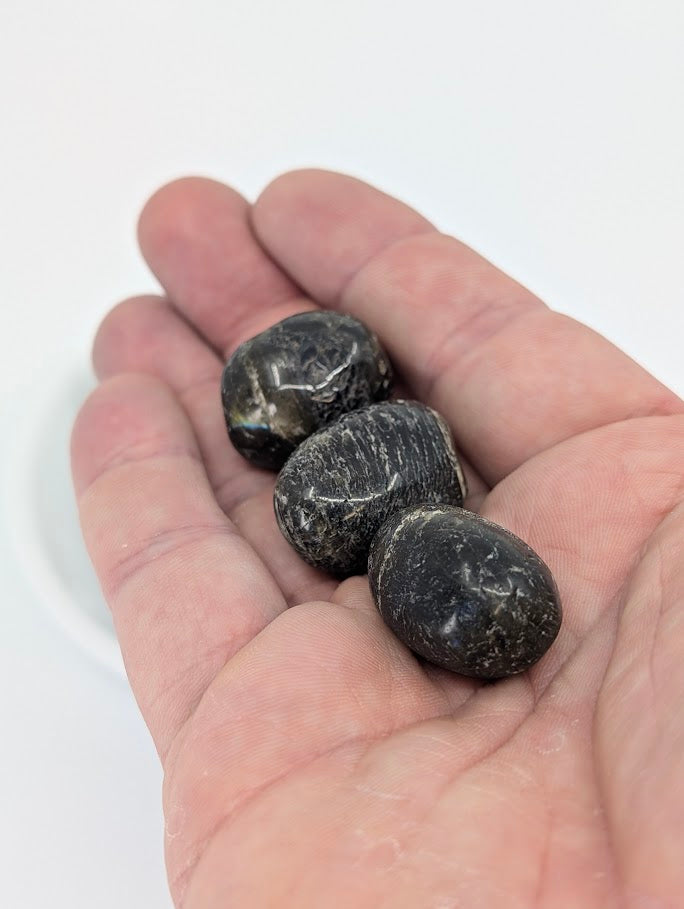 Labradorite tumbled stones in hand for size reference