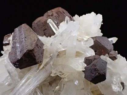 Large Black Pyrite & Quartz Cluster – Fengjiashan Mine (1043g) - Legacy Crystals and Minerals