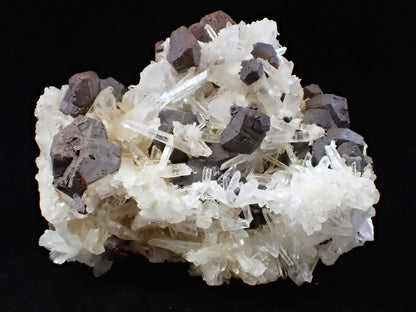 Large Black Pyrite & Quartz Cluster – Fengjiashan Mine (1043g) - Legacy Crystals and Minerals