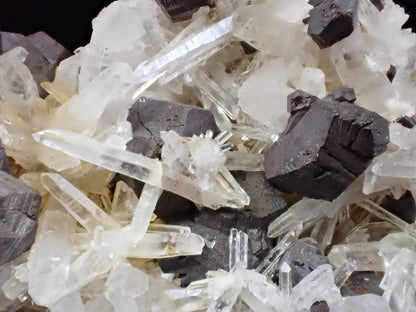 Large Black Pyrite & Quartz Cluster – Fengjiashan Mine (1043g) - Legacy Crystals and Minerals