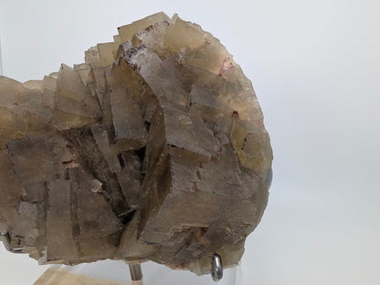 Large Yellow Fluorite Specimen – 9x7 Inches – From Beijing, China - Legacy Crystals and Minerals