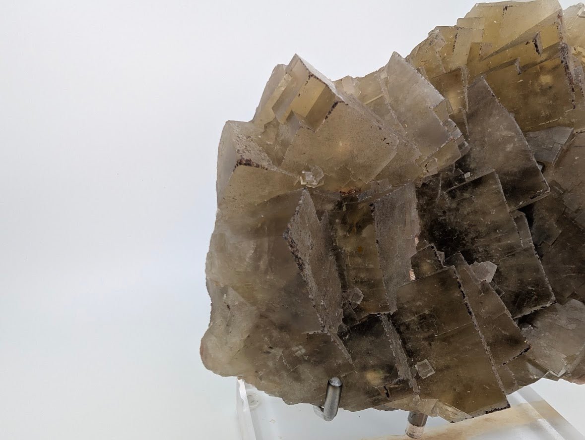 Large Yellow Fluorite Specimen – 9x7 Inches – From Beijing, China - Legacy Crystals and Minerals