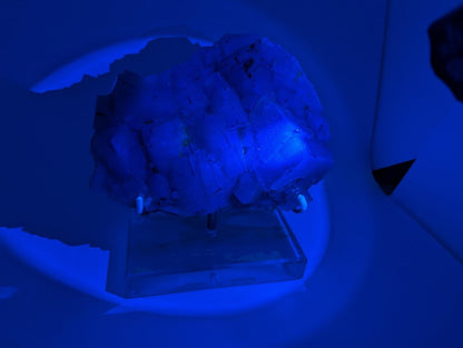 Large Yellow Fluorite Specimen – 9x7 Inches – From Beijing, China - Legacy Crystals and Minerals