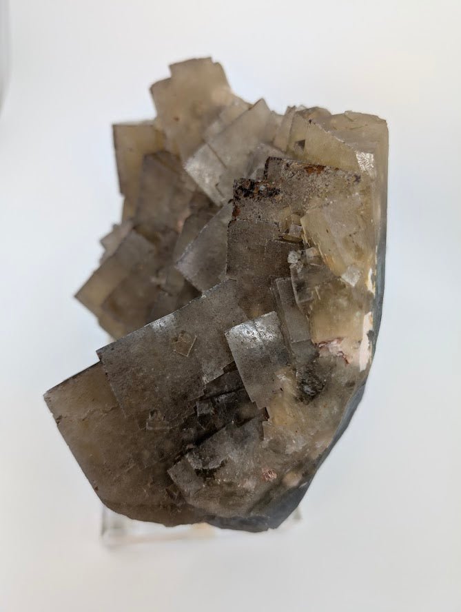 Large Yellow Fluorite Specimen – 9x7 Inches – From Beijing, China - Legacy Crystals and Minerals