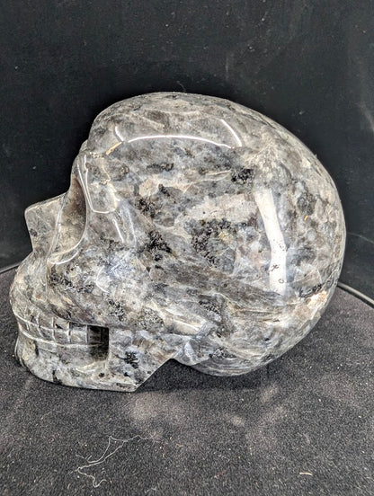 Left profile of Larvikite skull highlighting reflective feldspar matrix
