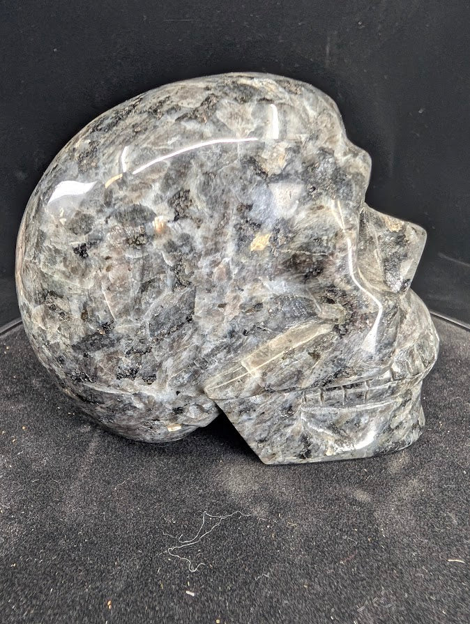 Right profile of Larvikite skull with polished surface and subtle schiller effect