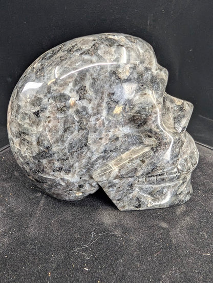 Right profile of Larvikite skull with polished surface and subtle schiller effect