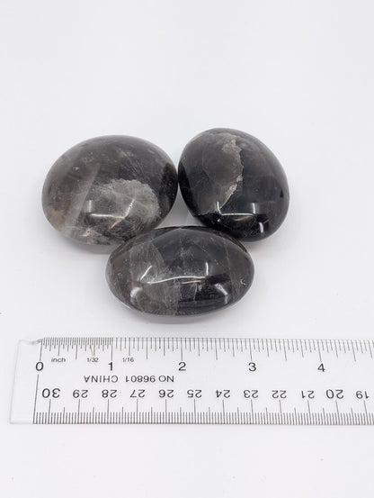 Group with ruler for size reference