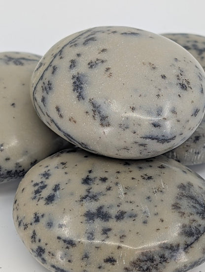 Dendritic Agate Palm Stone polished surface close-up