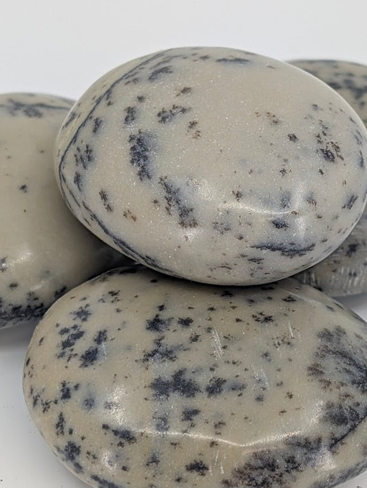 Dendritic Agate Palm Stone polished surface close-up