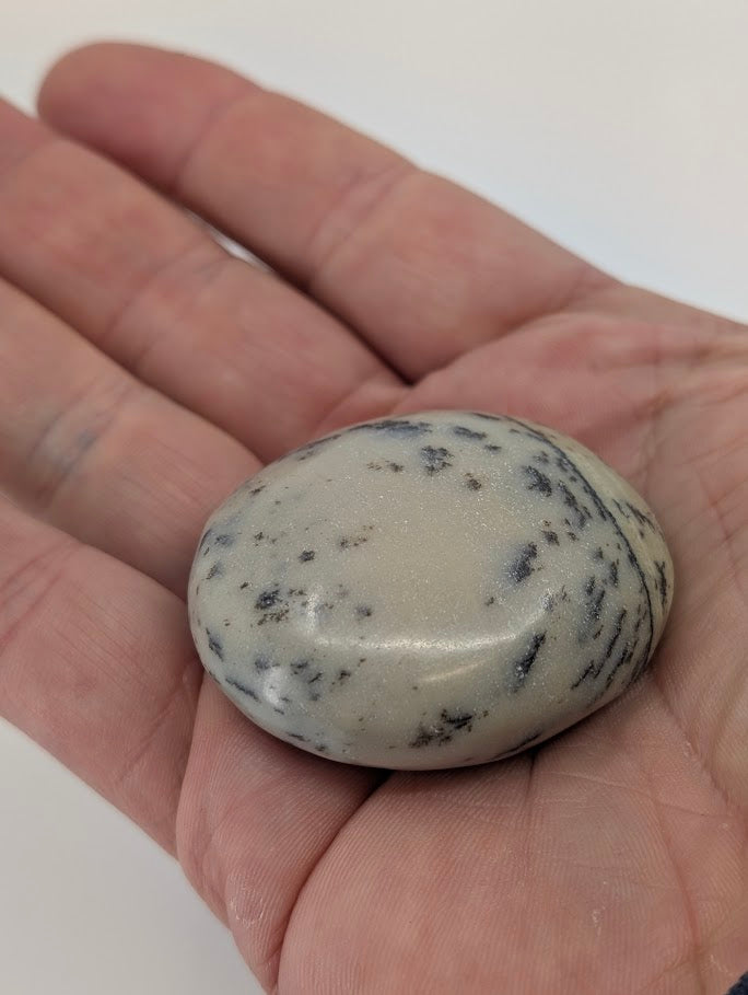 Dendritic Agate Palm Stone back view with branching detail
