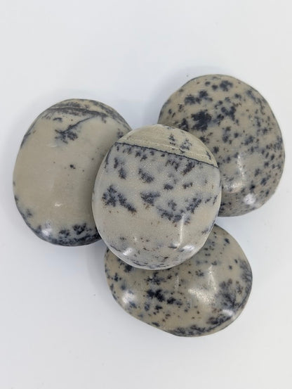 Dendritic Agate Palm Stone side profile showing translucency