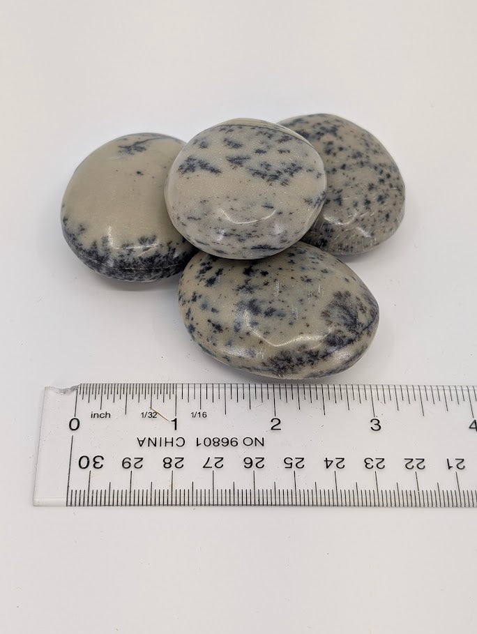 Group of Dendritic Agate Palm Stones showing pattern variety