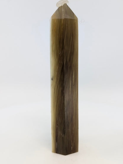 Right side with silver and golden tone variation