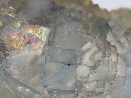 Macro photography revealing distinct purple and blue phantom growth layers inside transparent green Fluorite cubes.