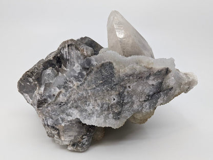 Majestic Dogtooth Calcite with Dendritic Inclusions and Sugar Sphalerite – Fujian, China - Legacy Crystals and Minerals