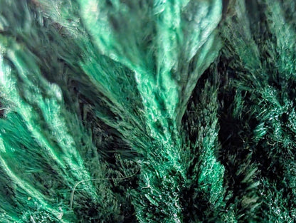 Malachite from Katanga Copper Crescent, Haut - Katanga, Democratic Republic of the Congo - Legacy Crystals and Minerals