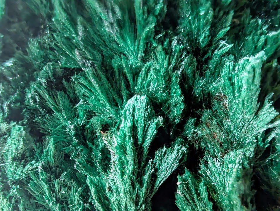 Malachite from Katanga Copper Crescent, Haut - Katanga, Democratic Republic of the Congo - Legacy Crystals and Minerals