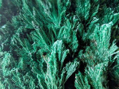 Malachite from Katanga Copper Crescent, Haut - Katanga, Democratic Republic of the Congo - Legacy Crystals and Minerals