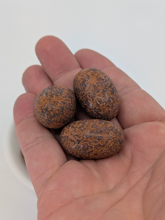 Maple Leaf Jasper tumbled stones shown in hand for scale