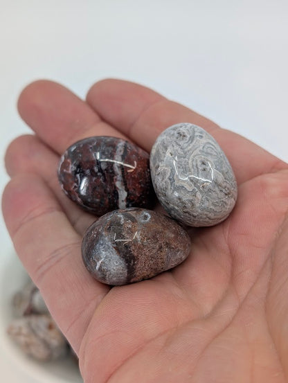 Mexican Lace Agate tumbled stones shown in hand for scale