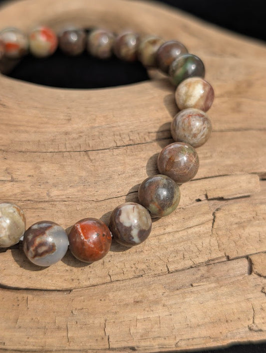 Macro view of polished 8mm Money Agate spherical beads on driftwood, highlighting the natural banding and complex earthy patterns.