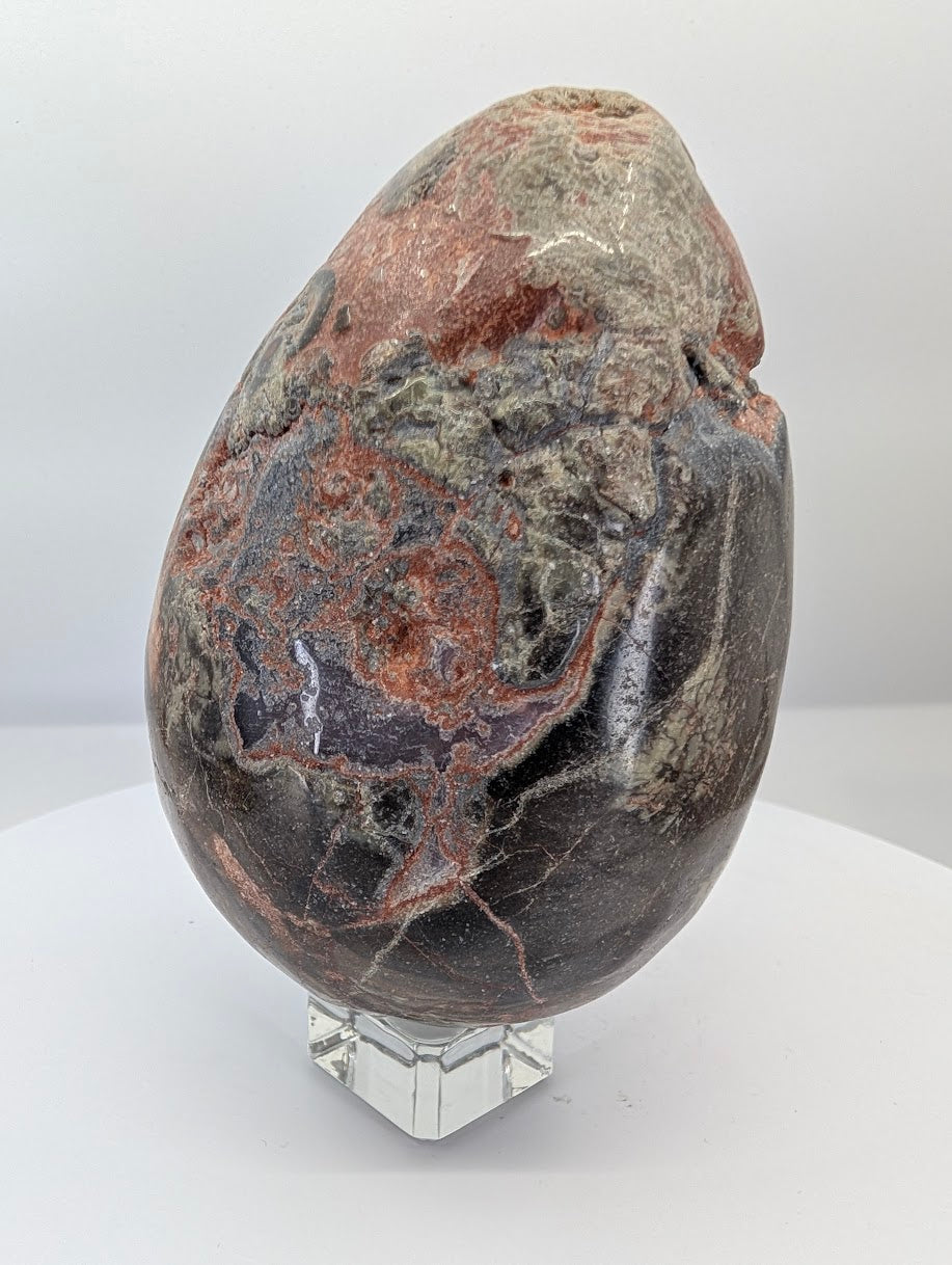 Back view of a polished money agate egg with brecciated patterning