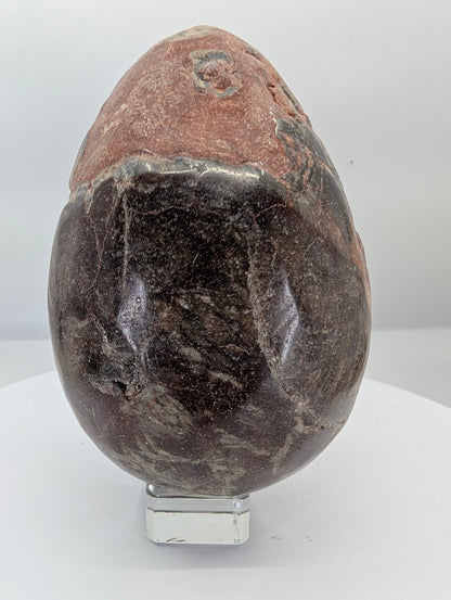 Polished money agate egg approximately 5 inches tall with dark earthy tones