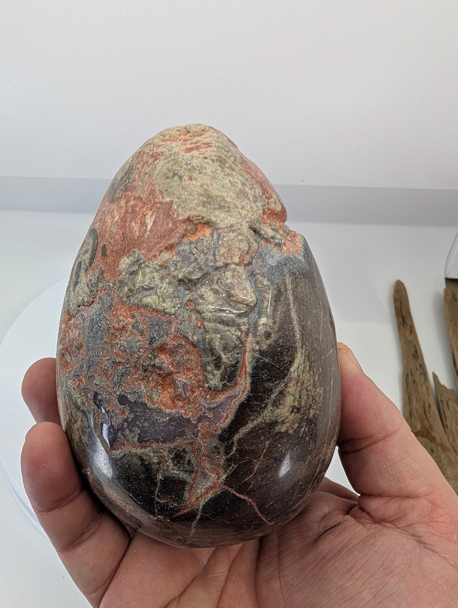 Hand-held money agate egg showing scale and natural surface texture