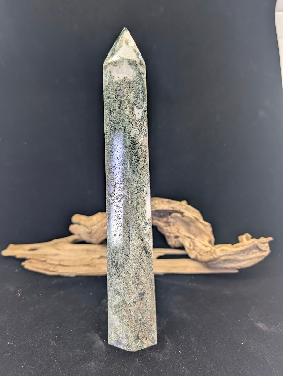 Detailed side view of MA-03 showing the intricate "moss" patterns within the chalcedony.
