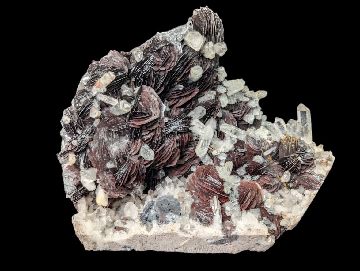 Museum - Grade Magnetic Iron Rose Hematite with Quartz – Jinlong Hill, Guangdong, China - Legacy Crystals and Minerals