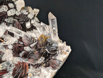 Museum - Grade Magnetic Iron Rose Hematite with Quartz – Jinlong Hill, Guangdong, China - Legacy Crystals and Minerals