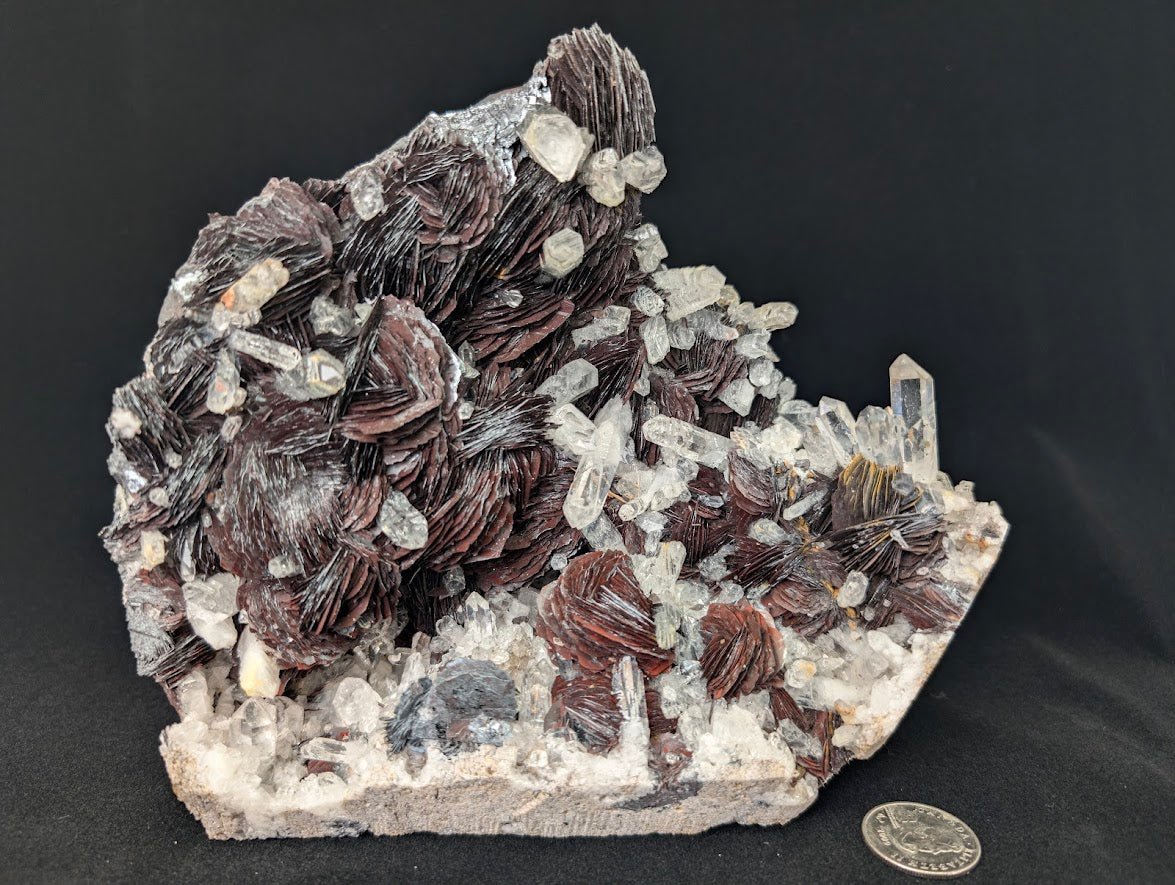 Museum - Grade Magnetic Iron Rose Hematite with Quartz – Jinlong Hill, Guangdong, China - Legacy Crystals and Minerals
