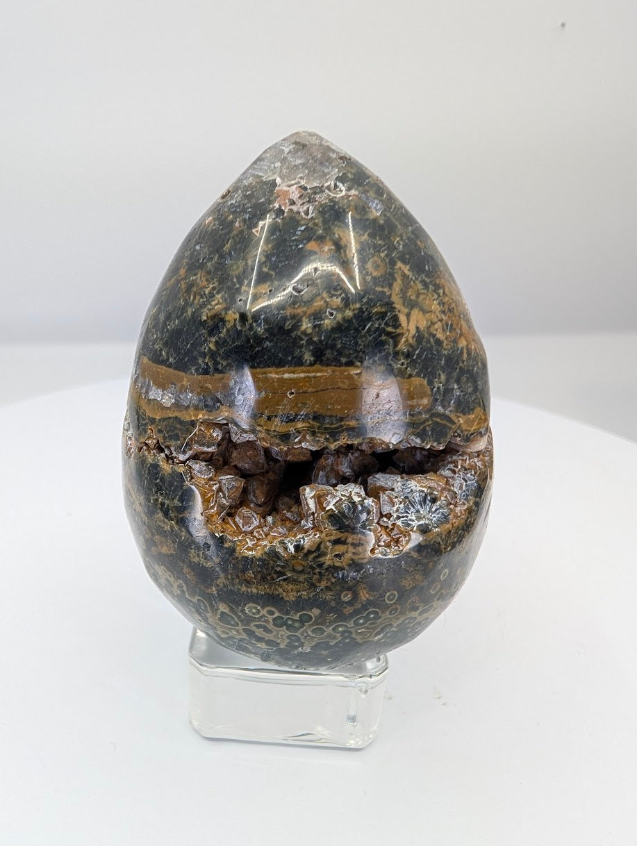 Ocean jasper egg from Madagascar, Piece F, with mixed orbicular spotting and natural surface character