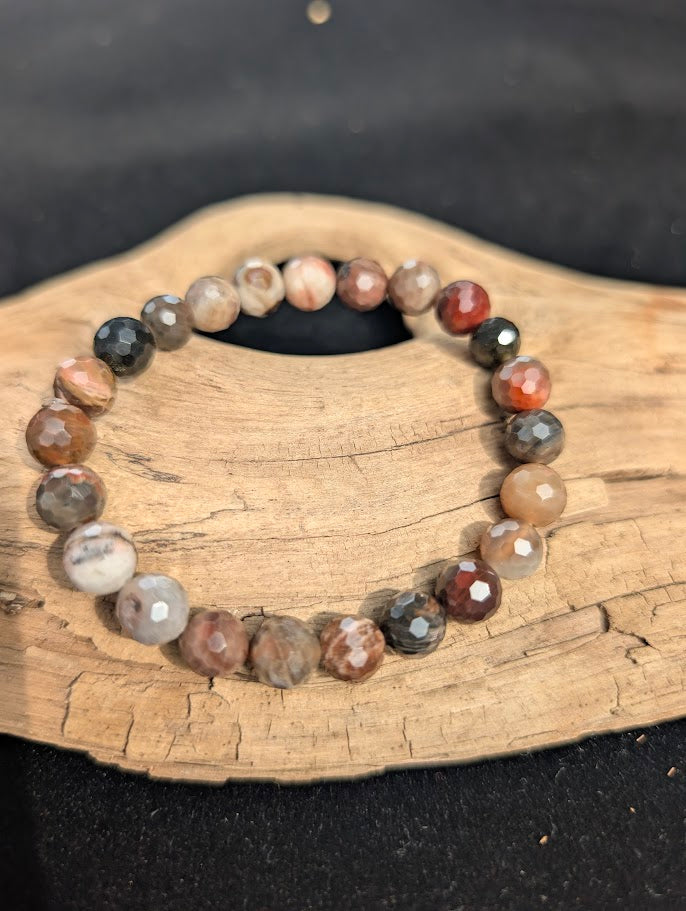 8mm faceted Petrified Wood beaded stretch bracelet resting on a driftwood display, showing earthy brown, grey, and tan fossil colouration.