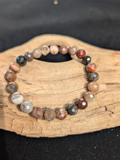 8mm faceted Petrified Wood beaded stretch bracelet resting on a driftwood display, showing earthy brown, grey, and tan fossil colouration.