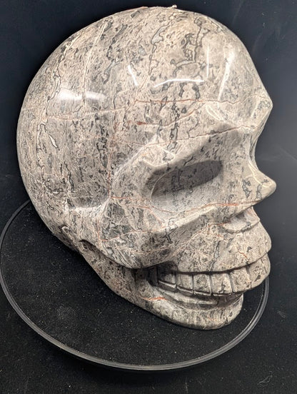 Angled left view showing bold black veining across grey matrix