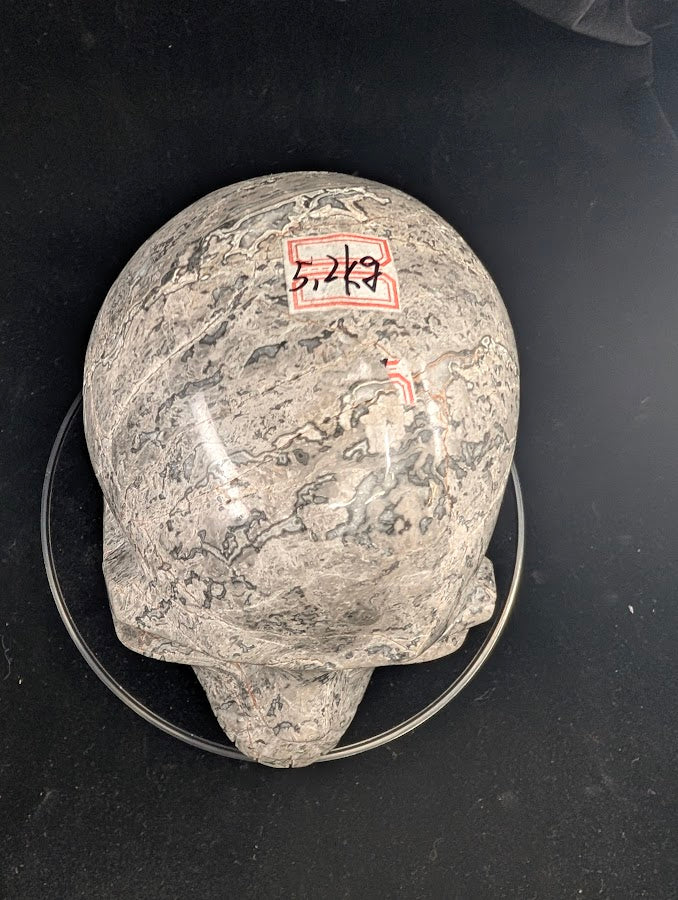 Top view of Picasso Jasper Skull showing cohesive patterning