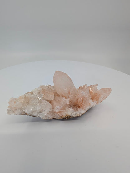 All-natural swallowtail pink calcite cluster from Hunan China - angled view