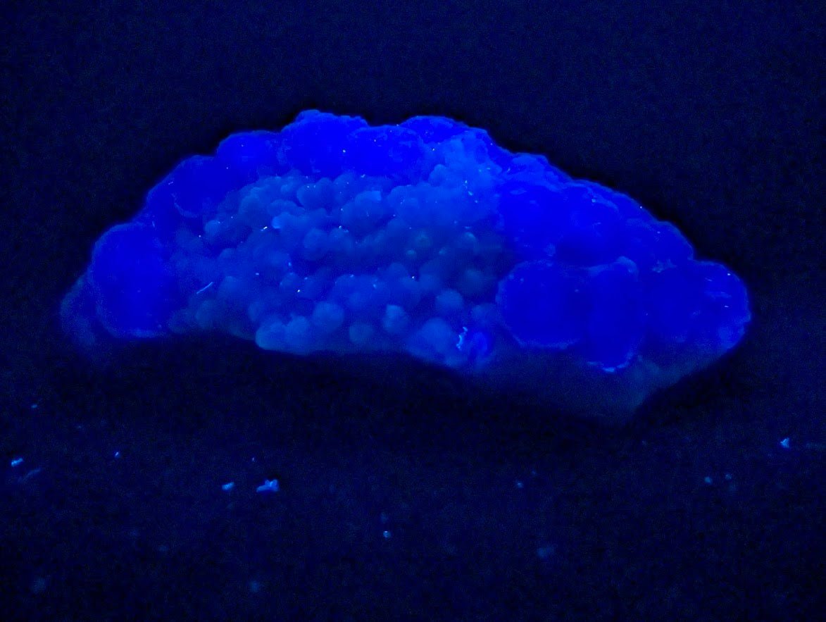 Pink - Purple Bubble Fluorite with Blue Chalcedony - Zhejiang, China - Legacy Crystals and Minerals